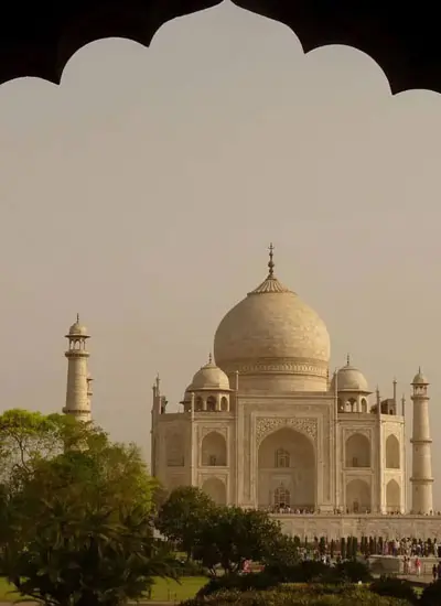 taj-mahal-tiger-and-culture