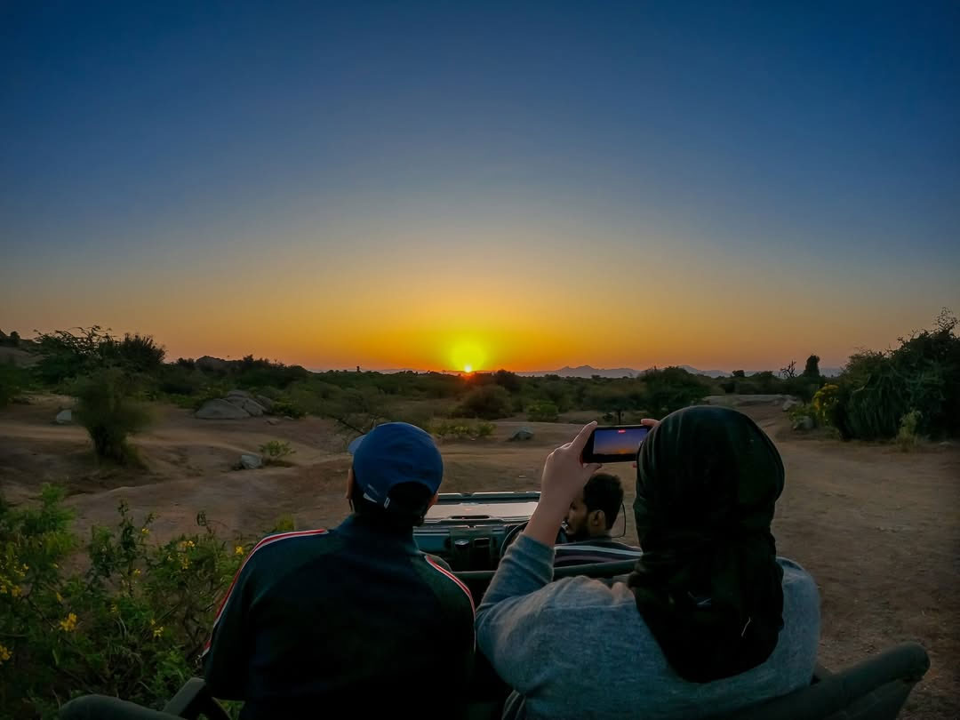 Rajasthan's Wildlife and National Parks: A Guide for Nature Lovers