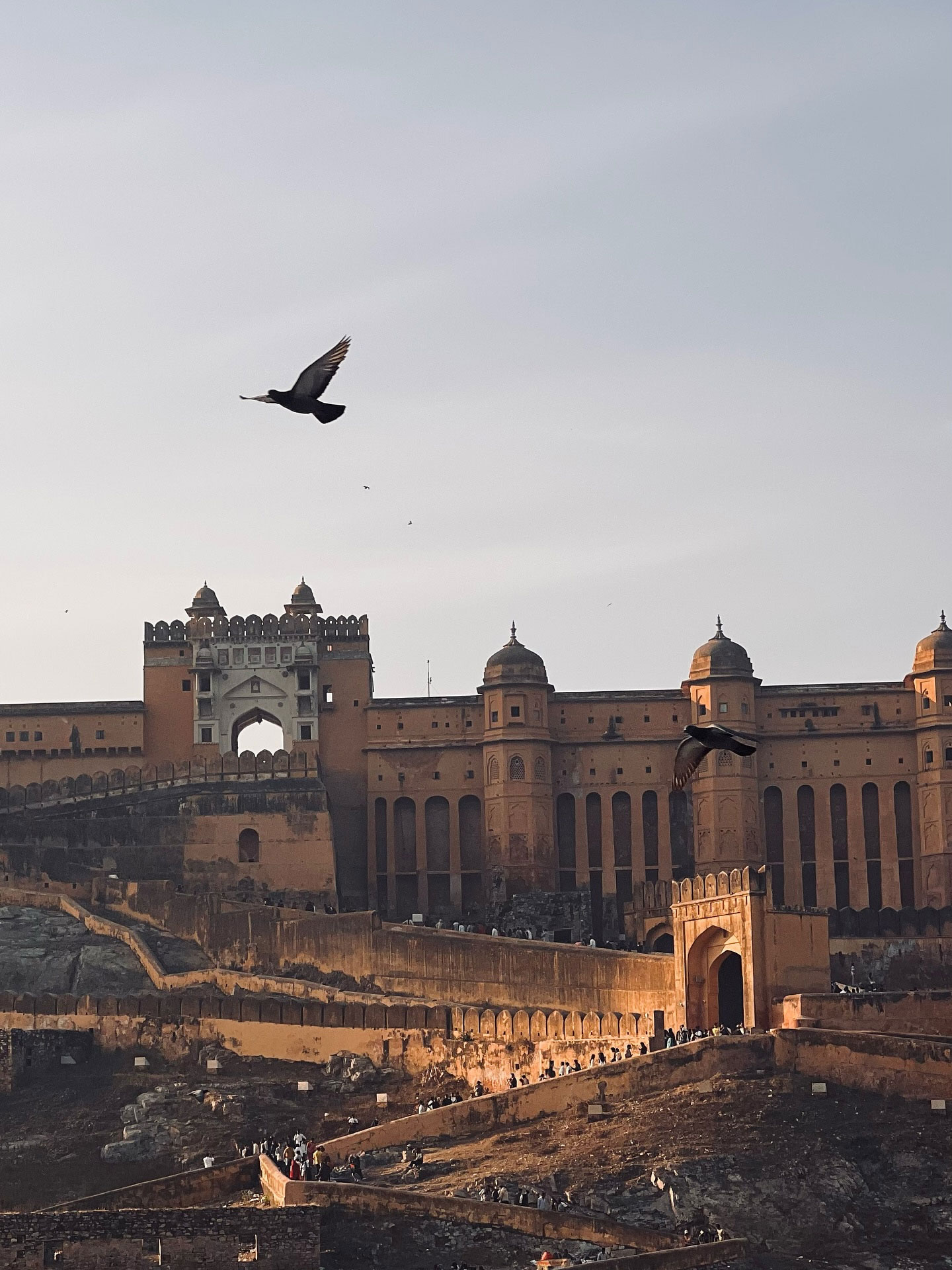 Top 10 must-see historical sites in Rajasthan