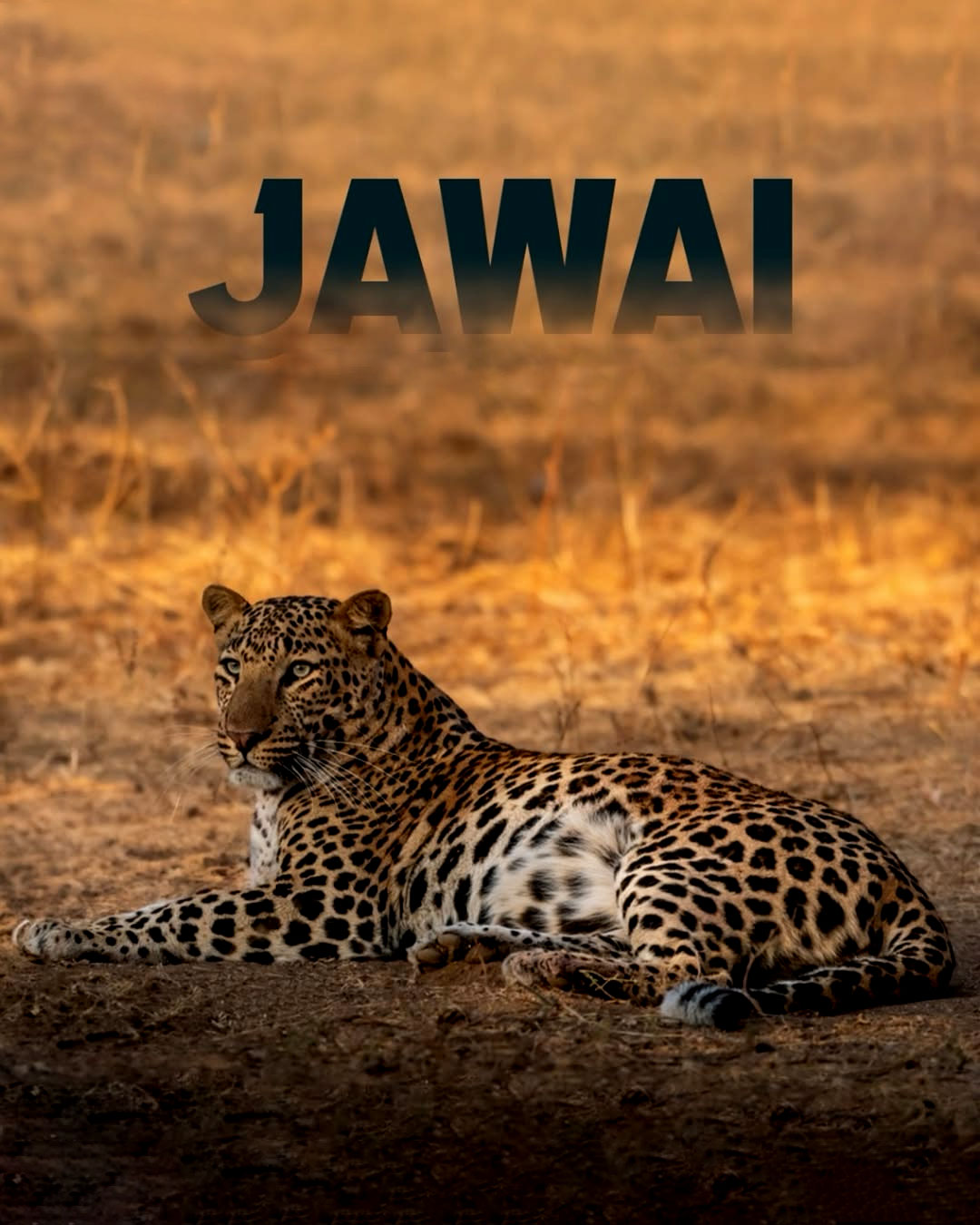 Offbeat Places to Visit in Rajasthan this Winter