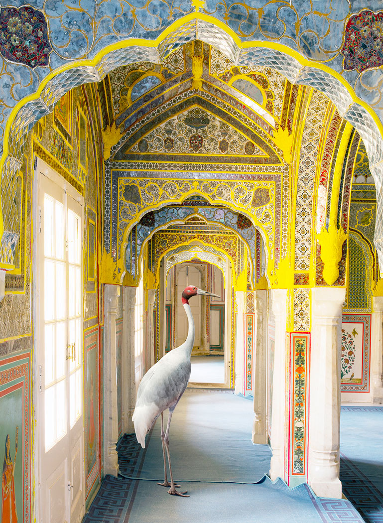 Top 10 Rajasthan Royal Hotels for Royal Feel