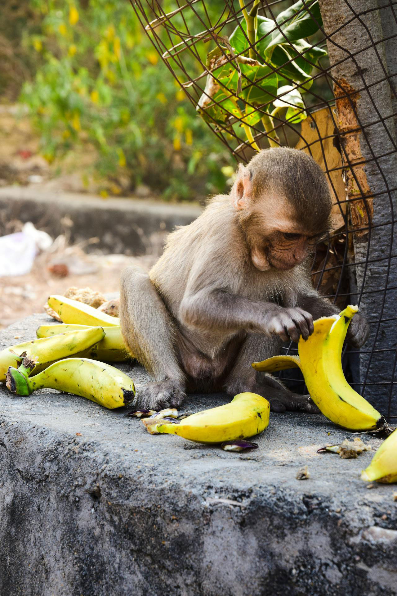 Rajasthan Tour Packages 2026 – A Complete Travel Guide