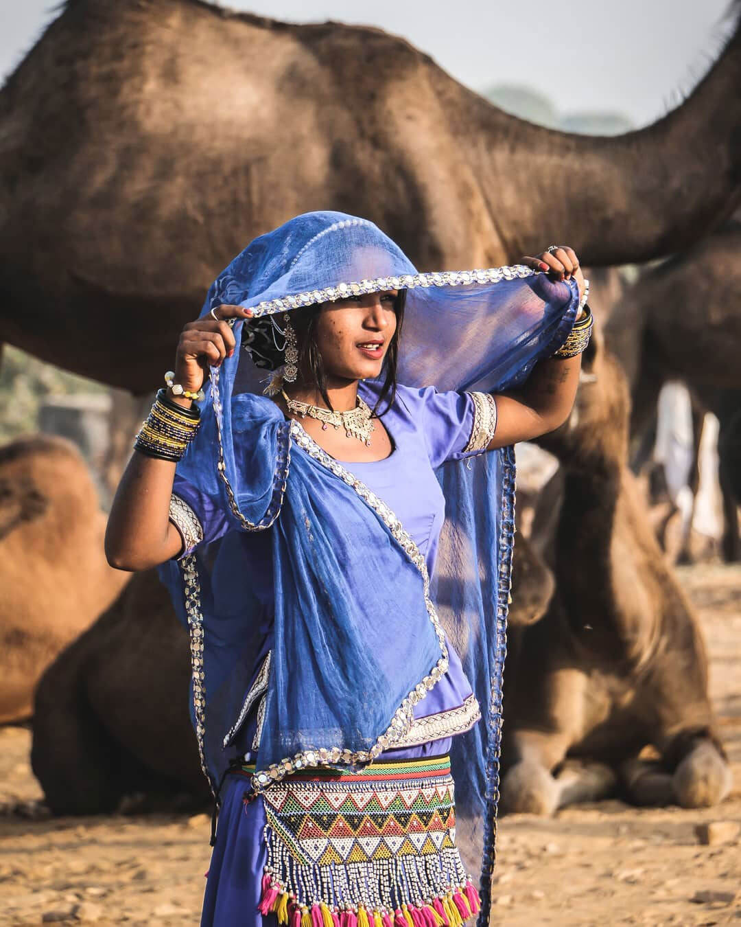 India Tour Packages 2026 Your Ultimate Travel Guide