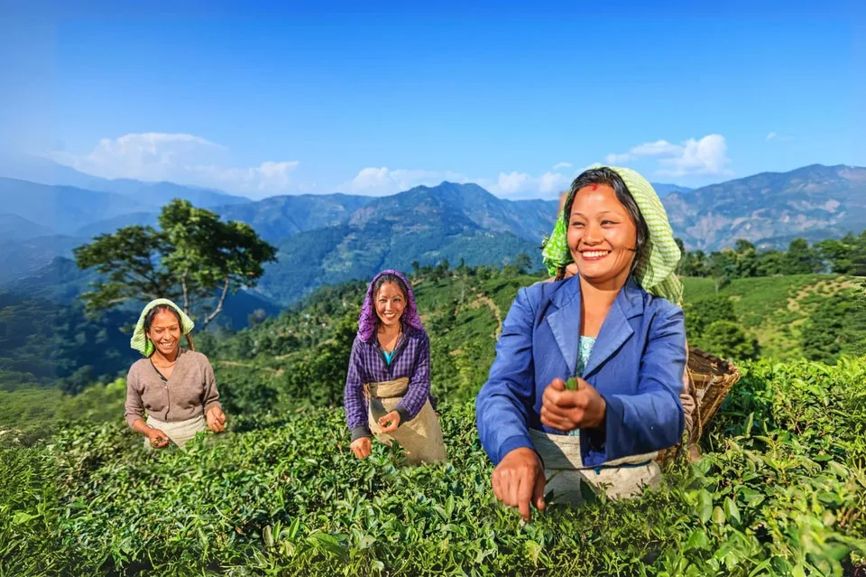 Tourists exploring the cultural wonders of Incredible India