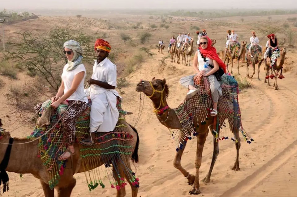 Colorful camel fair in Pushkar during festival season