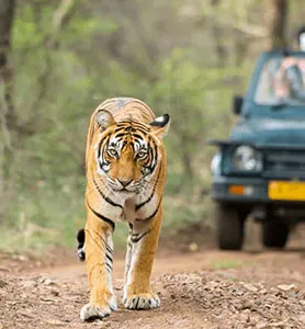 wildlife-sanctuaries