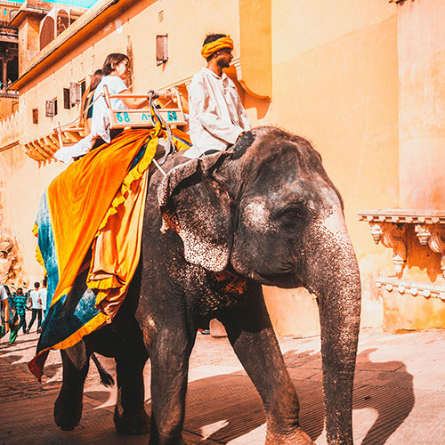 amer-fort-by-elephant-ride