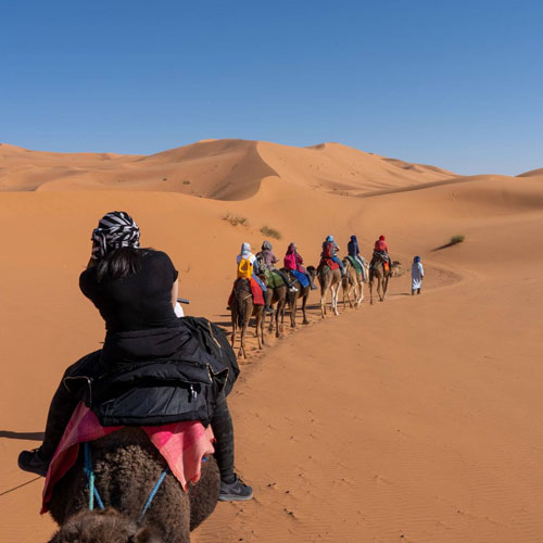camel-ride-at-sand-dunes
