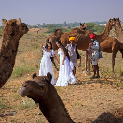 desert-meets-culture-&-colors