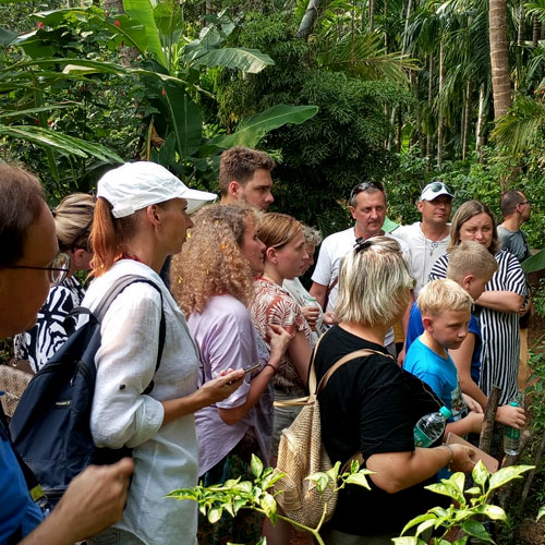 goa-spice-plantation