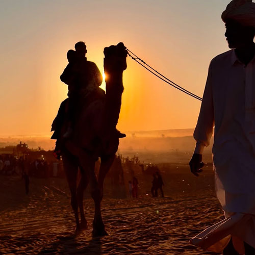 jaisalmerdesert