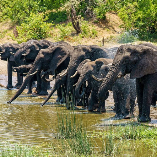 periyar-wildlife-sanctuary