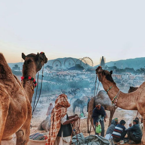 welcome-to-the-pushkar-festival