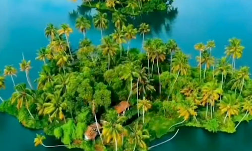 Explore the Serene Beauty of Kerala